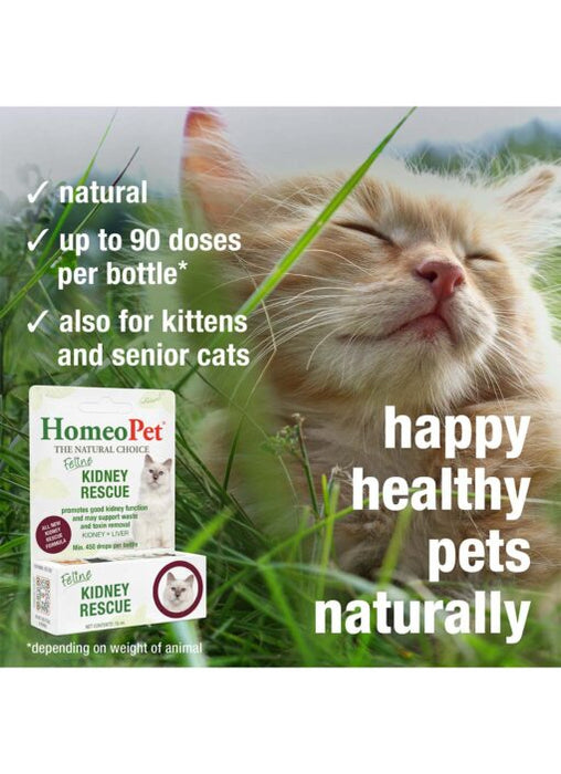 HomeoPet Feline Kidney Rescue 15 mL - 4 - Image 7
