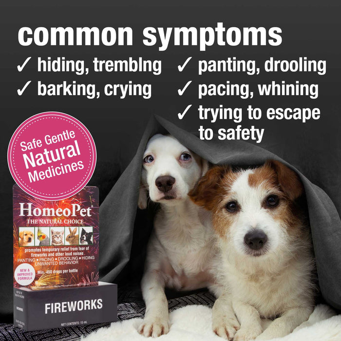 HomeoPet Anxiety Fireworks 15 ml