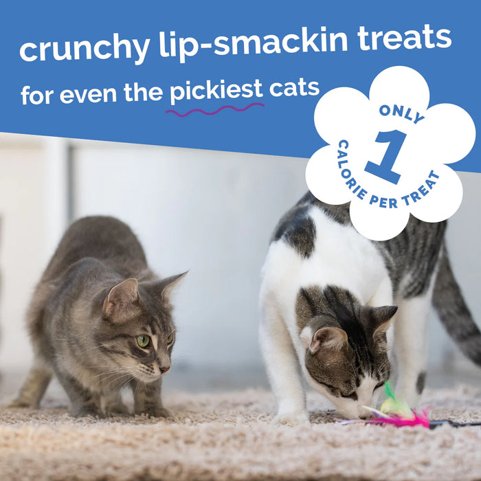 Fruitables Limited Ingredient Crunchy Cat Treats Chicken w/Blueberry 2.5oz