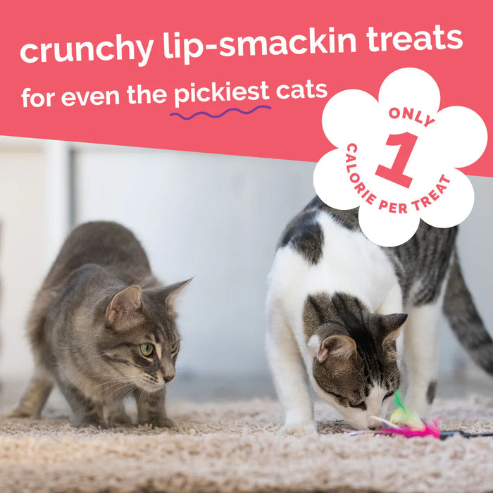 Fruitables Limited Ingredient Crunchy Cat Treats Salmon w/Cranberry 30oz