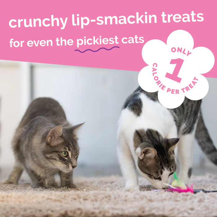 Fruitables Limited Ingredient Crunchy Cat Treats Tuna w/Pumpkin 2.5oz