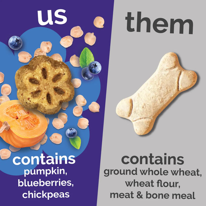 Fruitables Skinny Minis Soft Dog Treats Pumpkin & Berry 12oz