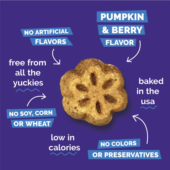 Fruitables Skinny Minis Soft Dog Treats Pumpkin Berry 5oz