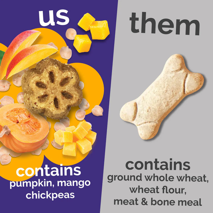 Fruitables Skinny Minis Soft Dog Treats Pumpkin Mango 5oz