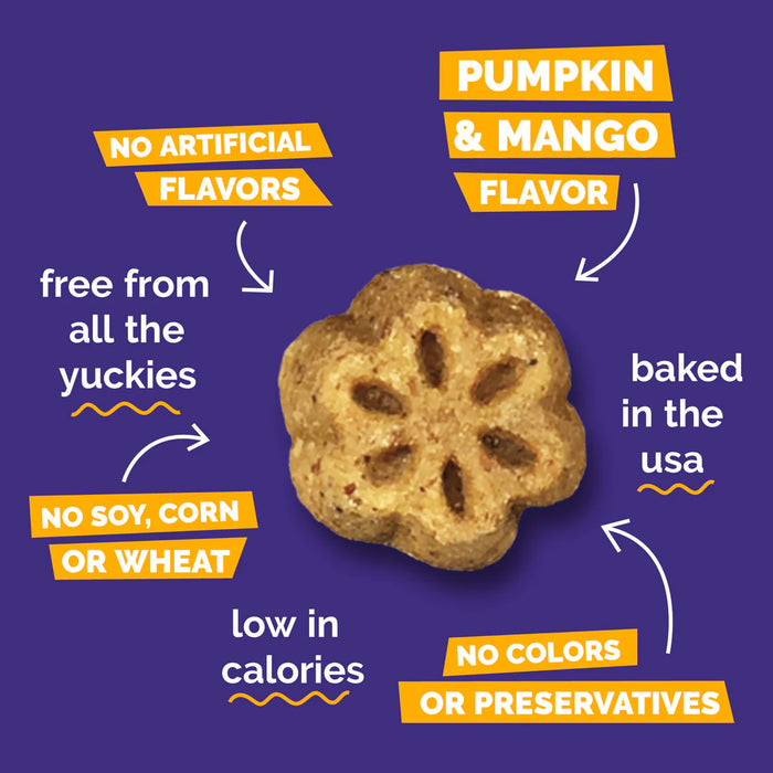 Fruitables Skinny Minis Soft Dog Treats Pumpkin Mango 5oz