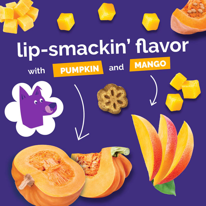 Fruitables Skinny Minis Soft Dog Treats Pumpkin Mango 5oz