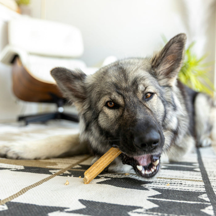 West Paw Natural Dog Treats Dental Sticks Small 14 oz
