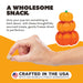 Primal Pet Foods Pumpkin For My Pumpkin - Chicken & Pumpkin with Goat Milk Dog Treats 2oz - 5 - Image 7