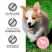 Primal Pet Foods Pumpkin For My Pumpkin - Chicken & Pumpkin with Goat Milk Dog Treats 2oz - 4 - Image 7