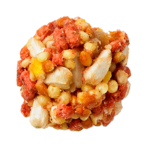 Lafeber Company Tropical Fruit Nutri-Berries Conure Bird Food 10oz
