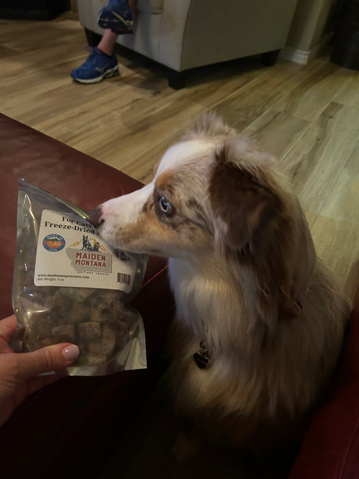 Maiden Montana Freeze Dried Beef Liver Treats 4oz