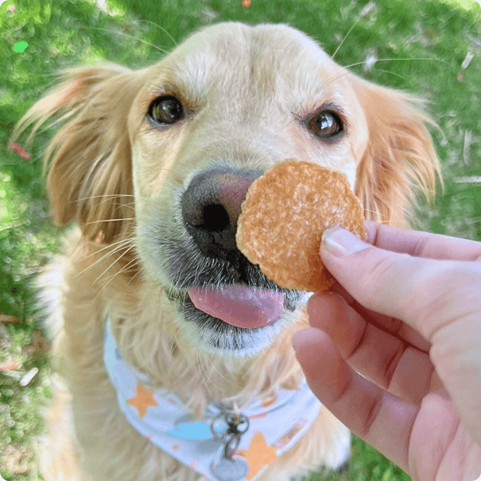 Farm to Pet Chicken Chips All-Natural Single-Ingredient Dog Treats