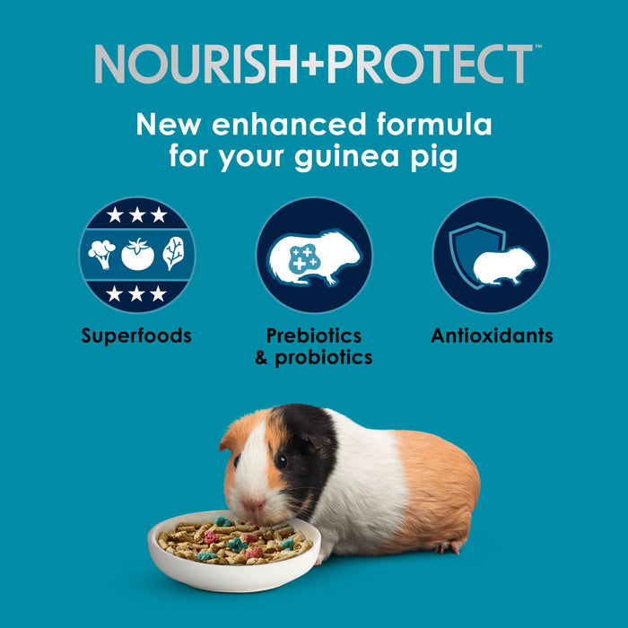 Kaytee Forti-Diet Pro Health Nourish+Protect Guinea Pig Food Timothy Hay 20 Pounds
