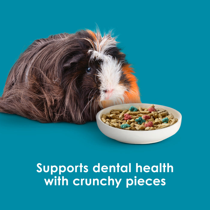 Kaytee Forti-Diet Pro Health Nourish+Protect Guinea Pig Food Timothy Hay 20 Pounds