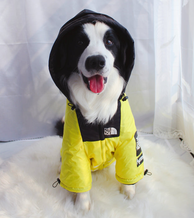 Furr Baby Gifts Dog Face Windproof Waterproof Reflective Pet Cat Dog Jacket