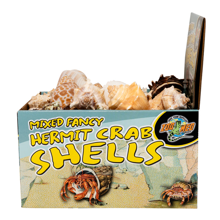 Zoo Med Hermit Crab Decorative Shell Fancy Shell Assorted 1 Pack (Pack of 24)