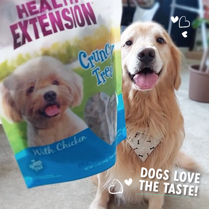 Health Extension Crunchy Heart Shaped Treats - Chicken - 5 - Image 9