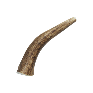 Health Extension  Natural Elk Antlers - Whole - Image 12