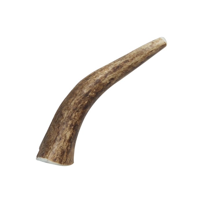 Health Extension  Natural Elk Antlers - Whole - Image 12