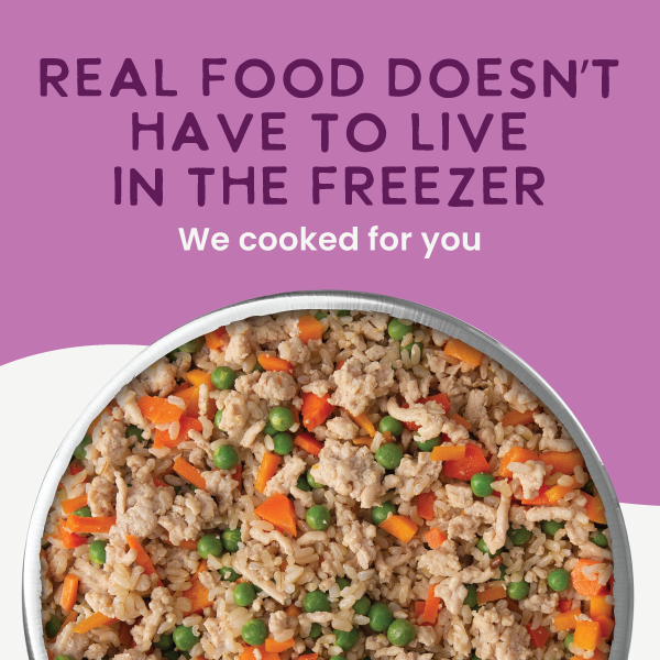 Health Extension Gently Cooked Chicken And Pumpkin Recipe - 2 - Image 17