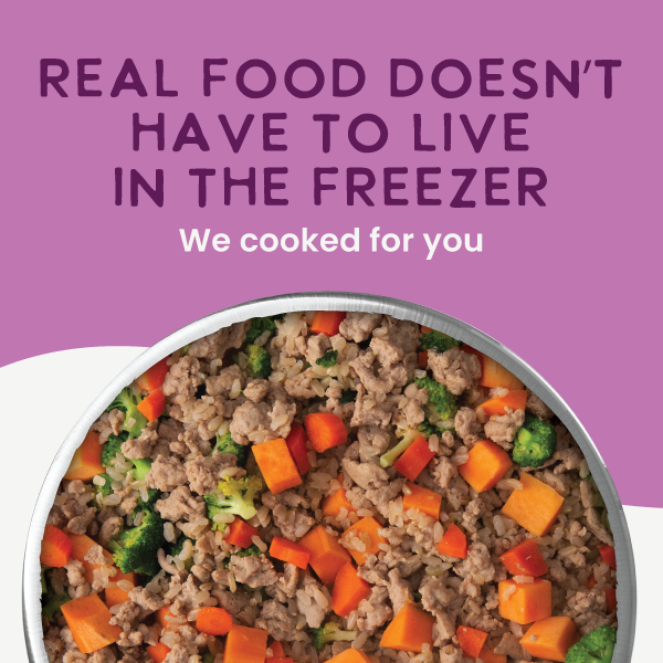 Health Extension Gently Cooked Lamb And Carrot Recipe - 2 - Image 17