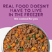 Health Extension Gently Cooked Grain Free Salmon Recipe - 2 - Image 17