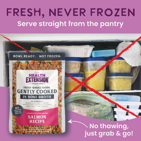 Health Extension Gently Cooked Grain Free Salmon Recipe - 3 - Image 17