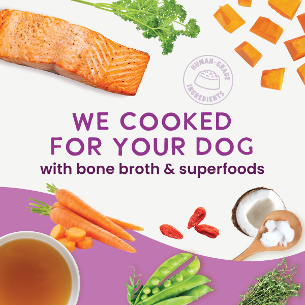 Health Extension Gently Cooked Grain Free Salmon Recipe - 4 - Image 17