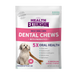Health Extension  Probiotic Dental Bones - 3 - Image 14