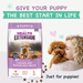 Health Extension Puppy Little Bites - 2 - Image 9