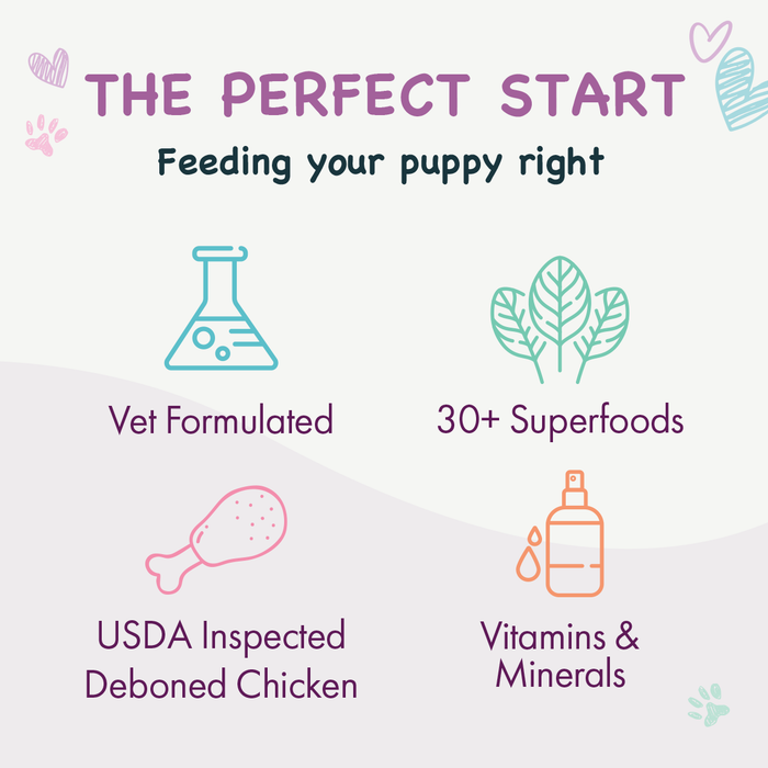 Health Extension Puppy Little Bites - 6 - Image 9