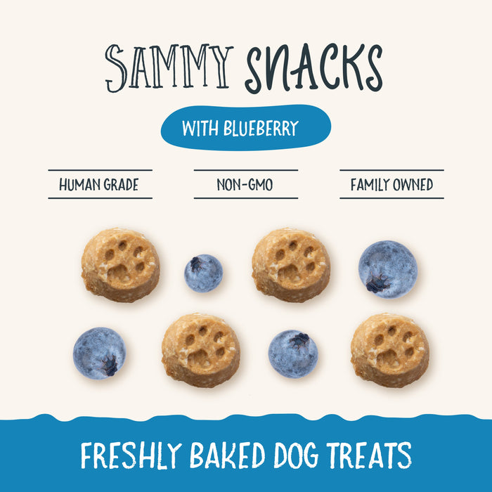 Health Extension Sammy Snacks With Blueberries - 2 - Image 10