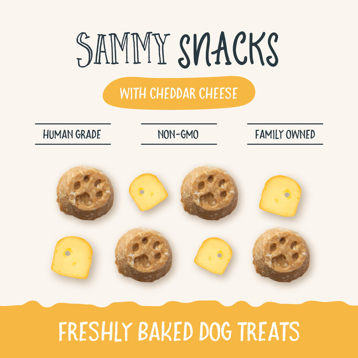 Health Extension Sammy Snacks With Cheddar Cheese - 2 - Image 10