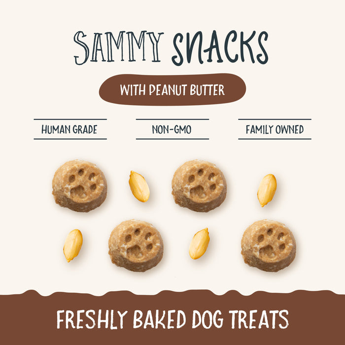 Health Extension  Sammy Snacks With Peanut Butter - 2 - Image 10