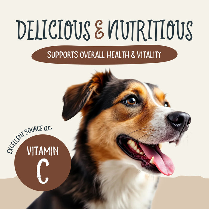 Health Extension  Sammy Snacks With Peanut Butter - 4 - Image 10