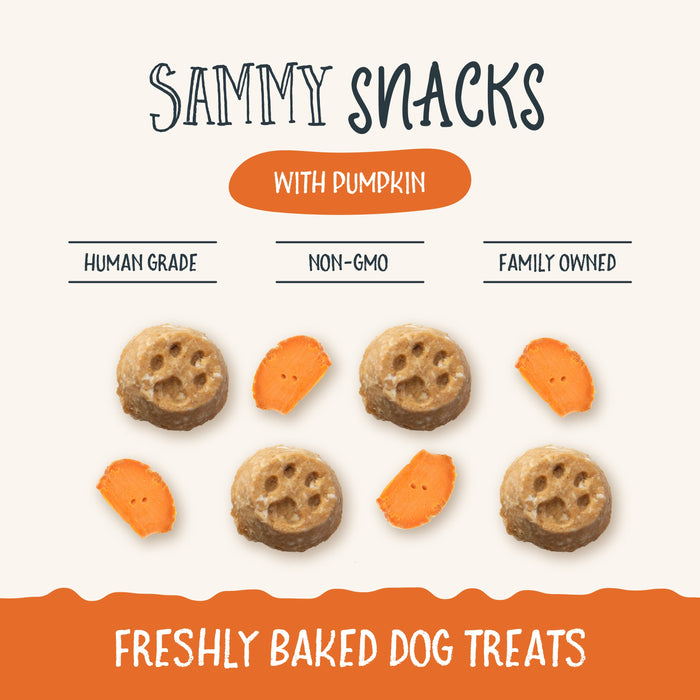 Health Extension Sammy Snacks With Pumpkin - 2 - Image 10