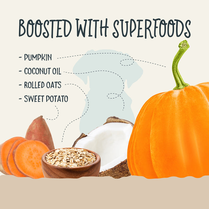 Health Extension Sammy Snacks With Pumpkin - 5 - Image 10