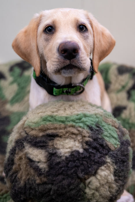 HuggleHounds HuggleCause™, Warrior Canine Connection, Camouflage HuggleFleece® Plush Ball Dog Toy