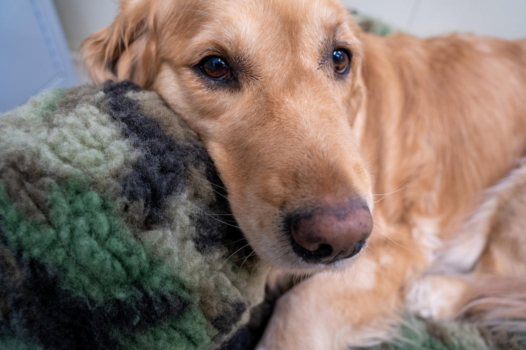 HuggleHounds HuggleCause™, Warrior Canine Connection, Camouflage HuggleFleece® Plush Ball Dog Toy