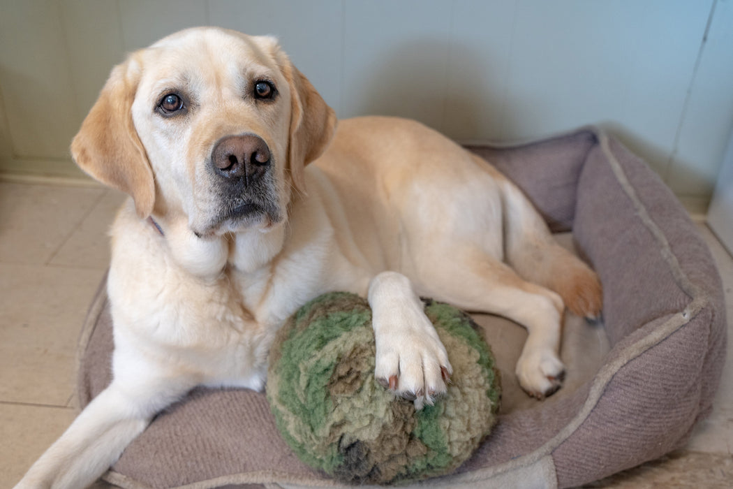 HuggleHounds HuggleCause™, Warrior Canine Connection, Camouflage HuggleFleece® Plush Ball Dog Toy