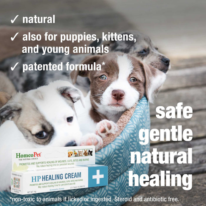 HomeoPet HP Healing Cream 14 gm