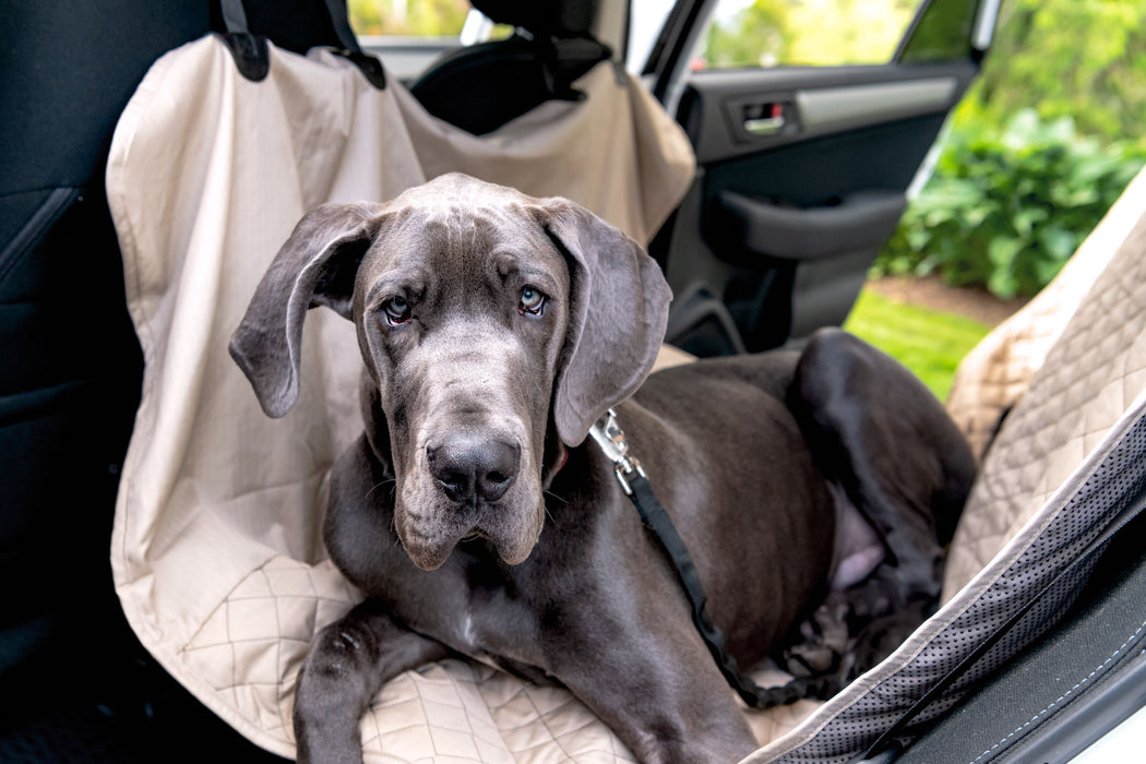 HuggleHounds TuffutLuxx® Vehicle Protectors for Travel