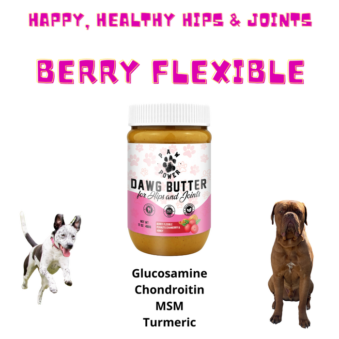 Paw Power Nutrition Dawg Butter Berry Food topper Flexible for Hips & Joints