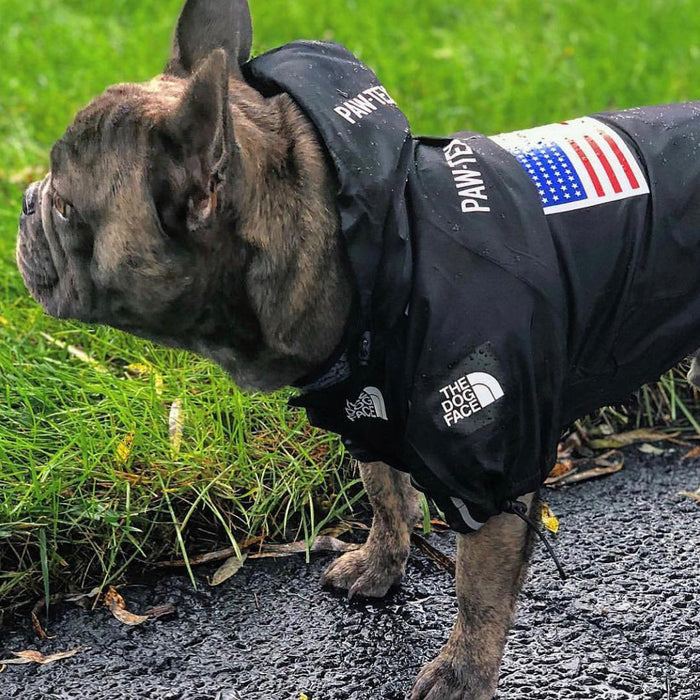 Furr Baby Gifts Dog Face Windproof Waterproof Reflective Pet Cat Dog Jacket