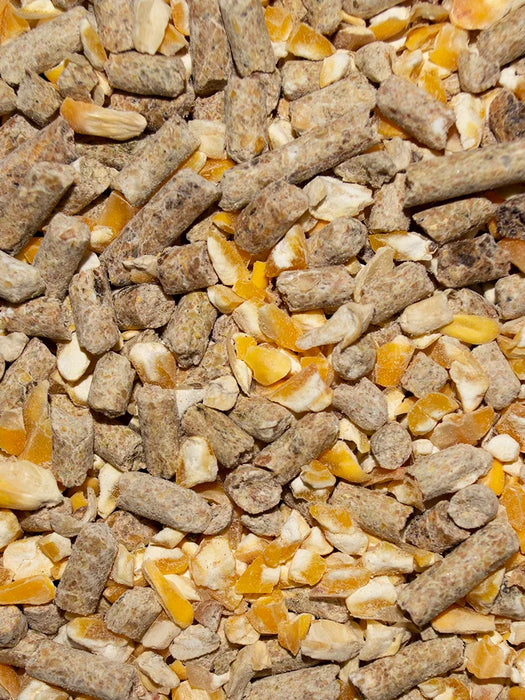 Volkman Seed Company Layer Pellet Blend Chicken Treat 15 lb