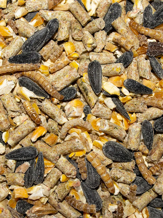 Volkman Seed Company Peck N Hen Chicken Treat 4 lb