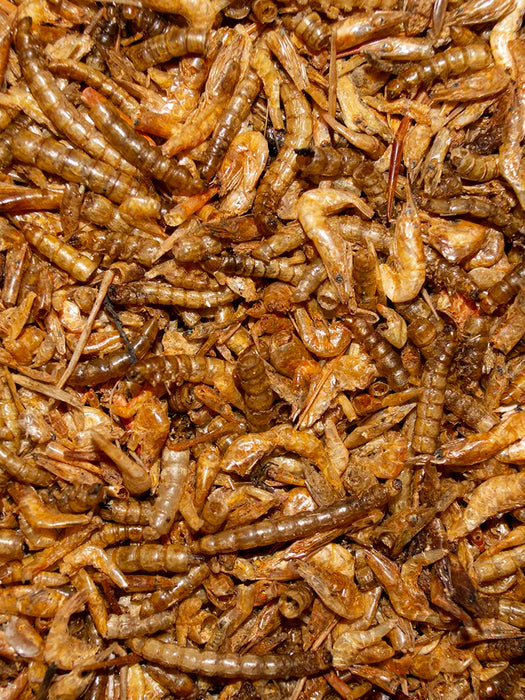 Volkman Seed Company Shrimp and Mealworm Medley Chicken Treat 1.25 lb