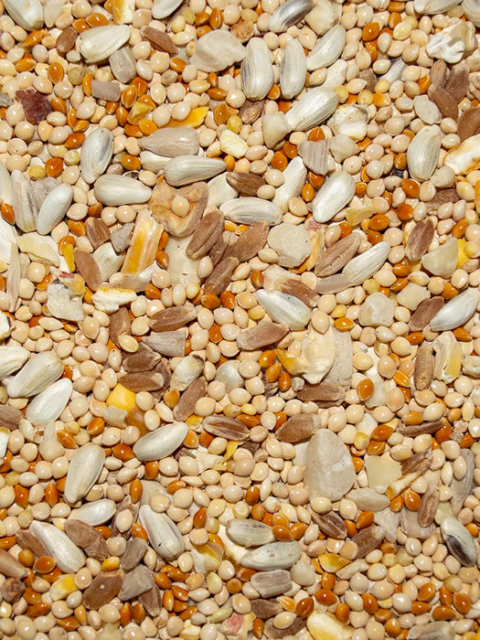 Volkman Seed Company Treat for Chicken 8 lb