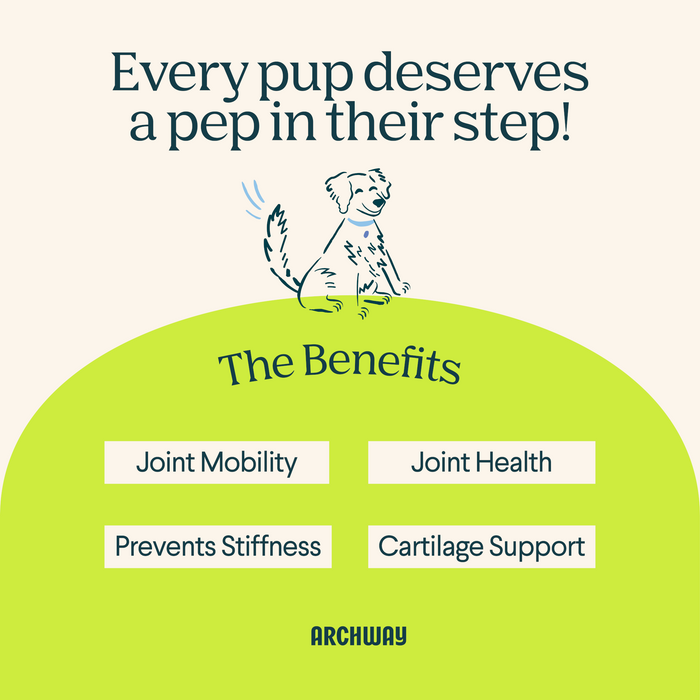Archway Hip & Joint Health Dog Treats 5 oz