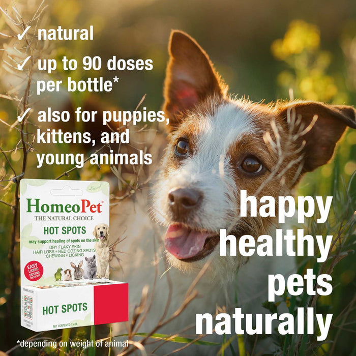 HomeoPet Hot Spots 15 ml